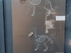 -北京周口店北京人遗址博物馆
