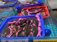 -皮记海鲜1995(寮步店)