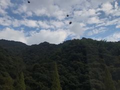 -天明山温泉大酒店
