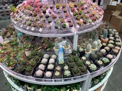 -KKV(深圳kk one 店)