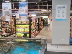 -盒马鲜生(领丰汇店)