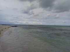 -塞尔夫岛