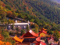 -龙口南山旅游景区