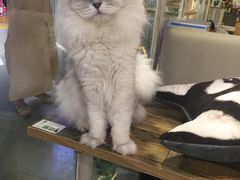 -小时光咖啡馆(开森度假森林店)