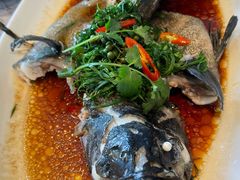 多宝鱼-柳叶情风帆酒店