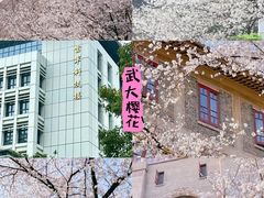 -武汉大学-樱园