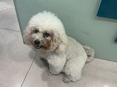 -佳雯宠物医院·皮肤科·内外科(春晓路分院)