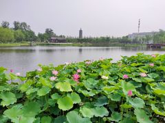 -西海子公园