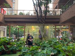 -瑞虹新天地月亮湾