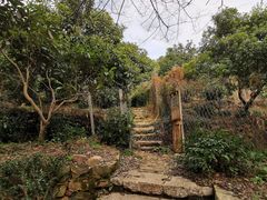 -东山风景区(洞庭东山)