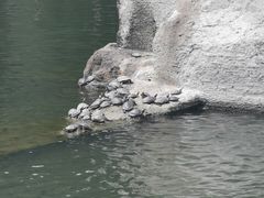 -柯岩风景区