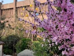 -悦隆庄温泉度假酒店