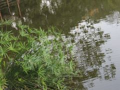 -百林公园-两江幸福广场