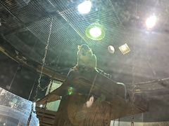 -萌宠奇缘(荣鼎店)