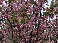 -朗迪姆餐厅(丰尚国际广场店)