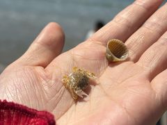-沙扒湾