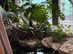 -见康道莱•足浴按摩•艾灸•SPA(友谊店)