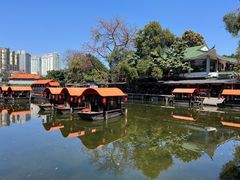 -侨美·唐荔园·40年地道粤菜