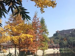 -重庆彩云湖湿地公园