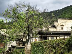 -塔川景区