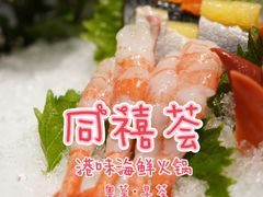 -同禧荟·港味海鲜火锅·粤菜(三亚湾店)