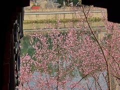 -望江楼公园
