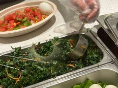 -油梨树 AVOCADO TREE(亮马桥店)