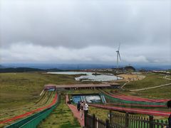 -龙里油画大草原旅游区