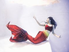 -上海潜殿潜水中心