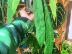 -Rabbit Cafe私房西餐甜点咖啡(栖霞路店)