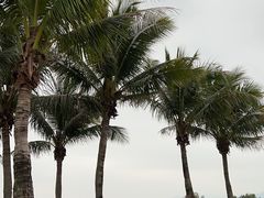 -深圳湾公园(南山区)