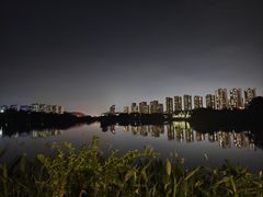-洋湖国家湿地公园