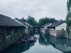 -鲁镇