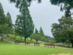 -神户市立六甲山牧场