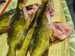 -铭记蛙小仙·活蛙畅享(CBD万达广场店)