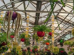 -南宫五洲植物乐园