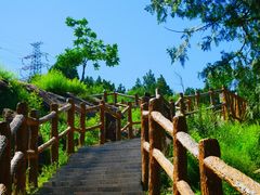 -白水寺森林公园