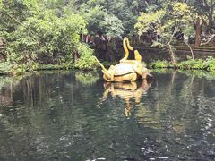 -海口火山口国家地质公园