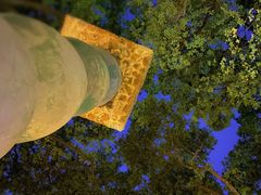 -Golden Lily河内巴黎法越料理餐厅(建国西路店)