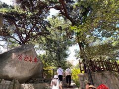 -崂山仰口游览区