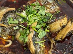 -风鑫铃罗非鱼(道沟店)