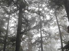 -天姥山