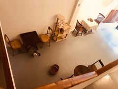-猫友咖啡店(玉林西路店)