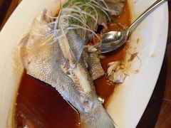 -燕郊烧鸽子(酷车小镇店)