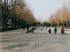 -玲珑塔公园