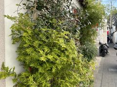 -八珍手工水饺·妈妈的爱(传芳巷店)