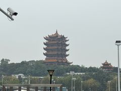 -小凤庭·地道湖北菜武昌鱼·藕汤(38年黄鹤楼店)