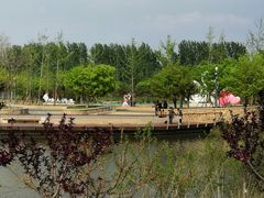 -东郊湿地公园