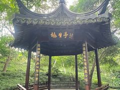 -上海方塔园