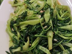 -广九餐室(陈家祠扬韬广场店)
